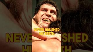 The Untold Truth: Why Andre the Giant Never Brushed His Teeth #andrethegiant #shorts