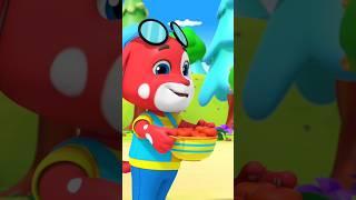 Fruit Chase #cartoonshow #funny #animal #videosforkids