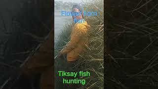 #tiksay #fishing #mantap #lovehunting