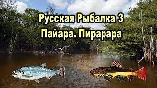 Русская рыбалка 3. Пайара. Пирарара. Квест Редкости.