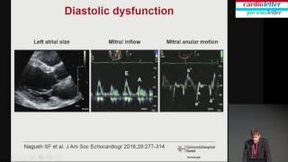 Beat Kaufmann: Value of echocardiography in chronic dyspnea
