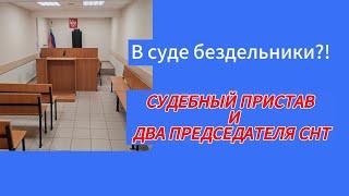 ️Пристав не в состоянии правильно рассчитать платежи?!️ И удача! Загнал в суд председателЕЙ СНТ.