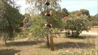 Copper Wind Chimes Temple Bells Trio