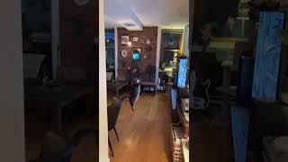 Waffle Catch 1: Julius goes feline flight cat leap jump crazy
