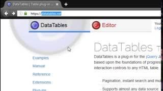 Introduction to DataTables