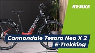 E-Bike Kaufberatung: Cannondale Tesoro Neo X 2  Bike der Extraklasse | Rebike.com