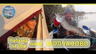 Рыбалка на Оби   ниже МОЛЧАНОВО!