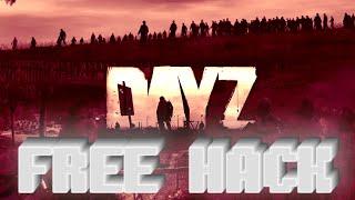  LEGIT HACKING IN DAYZ - THE BEST UNDETECTED LEGIT CHEAT! Free DL 