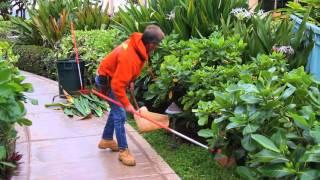 No Ka Oi Account Manager Explains Landscaping Services