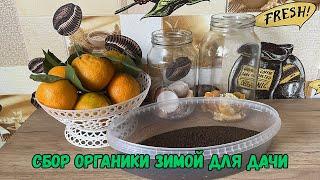 Сбор органики зимой для дачи