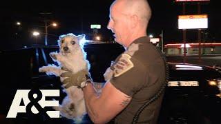 Live PD: Puppy Pals (Season 3) | A&E