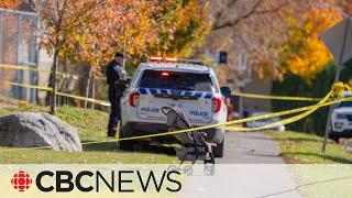 Woman stabbed to death in Ottawa park, suspect arrested