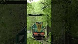 Манëвры тепловоза ЧМЭ2-442 / Maneuvers of the diesel locomotive ЧМЭ2-442