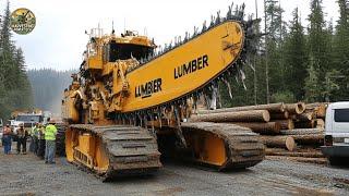 Amazing Fastest Big Tree Cutting Machines | Extreme Dangerous Monster Stump Removal Excavator #4