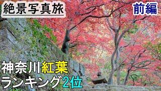 神奈川紅葉ランク2位大山の紅葉絶景を撮る旅①～大山寺昼～ vlog Japan awesome autumn leaves spot.