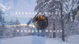 ESTONIAN FOREST and HANDPAN HOUSE - Siim Koppel