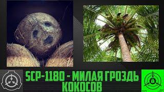 SCP-1180 - Милая гроздь кокосов    【СТАРАЯ ОЗВУЧКА】