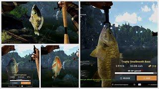 Trophy Smallmouth Bass - Pumpkinseed-Redbreast Sunfish-Rock Bass - Falcon Lake - Fishing Planet