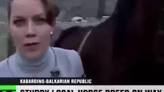 Провокационная ложь