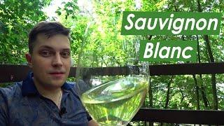 Вино сорта Sauvignon blanc подробно и понятно. Савиньон блан.