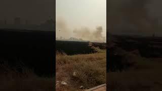 Environmental Pollution