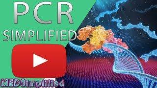 PCR - Polymerase Chain Reaction Simplified