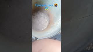 пока иди к дедушке ты прошла свои 8 лет