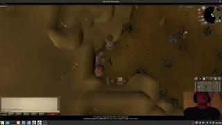 Simple Runescape Bot With Python