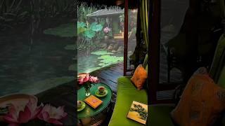 Barish Rain WhatsApp Status #rain #weather