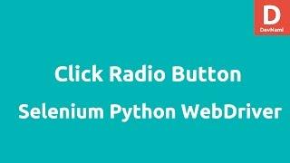 Python Selenium Click Radio Button