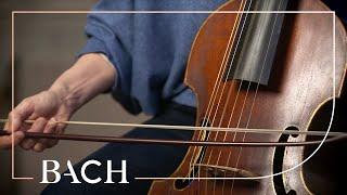 The viola da gamba | Netherlands Bach Society