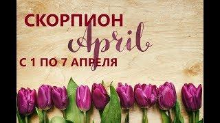 СКОРПИОН С 1 ПО 7 АПРЕЛЯ. ТАРО ПРОГНОЗ