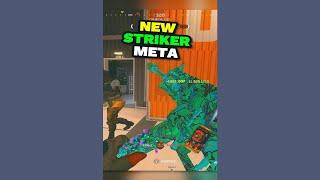 *NEW* META Striker Loadout