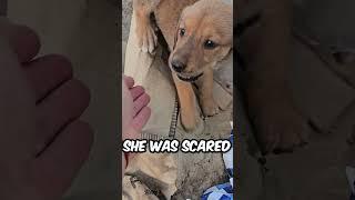 She Had No One… Until We Found Her! 