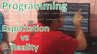 Programming expectation vs reality