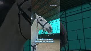 Особенности верховой езды зимой.