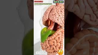 Digestive System Animation | Gut AI Art | 12