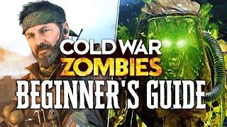 Cold War Zombies: BEGINNER'S GUIDE Everything EXPLAINED! (Black Ops Cold War Zombies GUIDE)