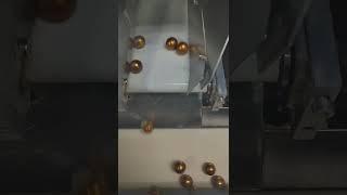 Paintball manufacturing process