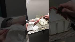 Snake Syringe Feeding - Winrose Animal Hospital