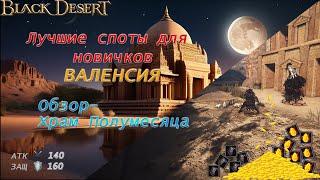 Лучшие места  фарма для начинающих - БДО 2024 - BLACK DESERT Online -  ВАЛЕНСИЯ - Храм Полумесяца