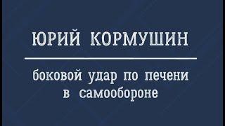 Боковой удар по печени в самообороне | Юрий Кормушин