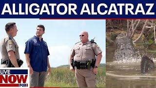 FL AG offers Trump "Alligator Alcatraz" to detain migrants