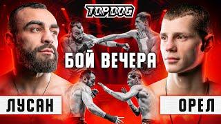 Orel vs. Lusan | Fight of the night | TDFC7