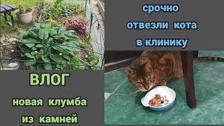 Садовый вайбСрочно поехали в ветеринарную клинику@SubTatiana