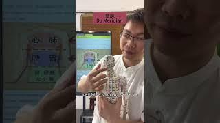 Chinese medicine Meridian #meridian #TCM #qigong #Taichi