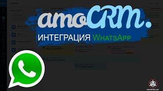 Как интегрировать WhatsApp в amoCRM?