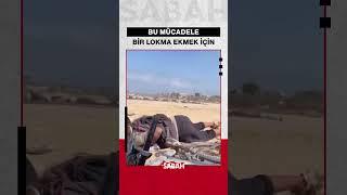 BU MÜCADELE BİR LOKMA EKMEK İÇİN #türkiye #haber #shorts