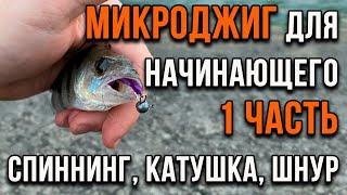 Микроджиг для начинающего, спиннинг, катушка, шнур (1 часть)