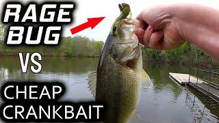 Rage Bug vs Cheap Crankbait! Spring Bass Fishing Lures Comparison